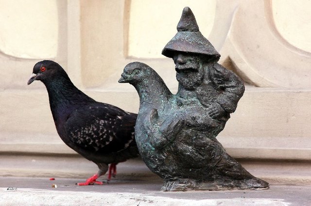 preview dwarf_animal_lover