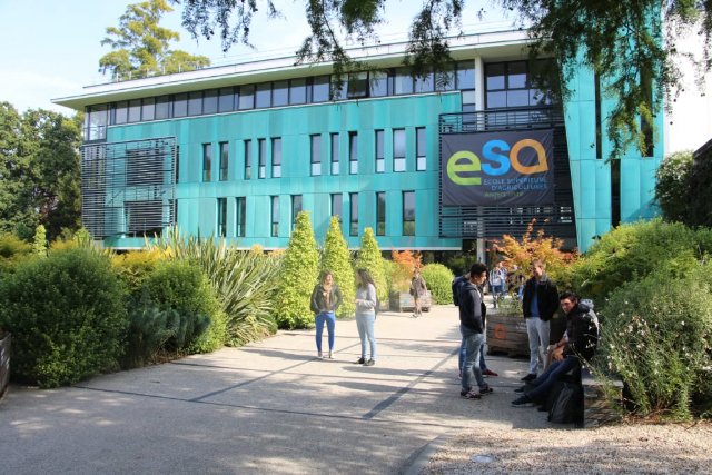 preview education_college_fr
