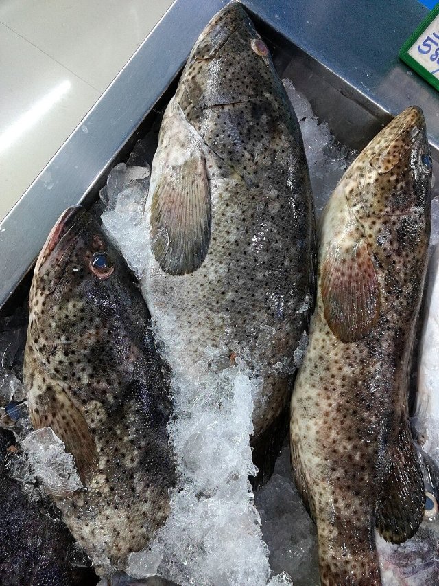 preview food_fish