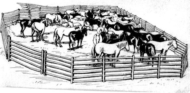 preview animal_enclosure