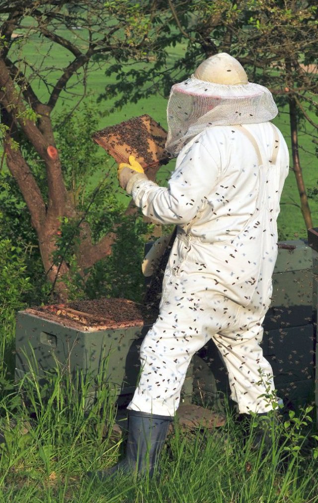 preview beekeeper