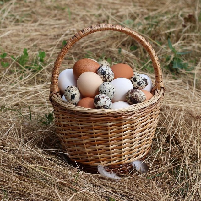 preview eggs
