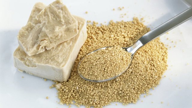 preview food_yeast