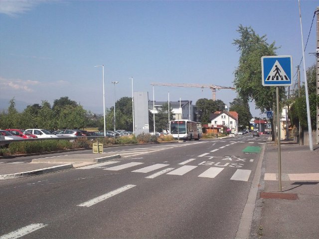 preview zebra_crossing